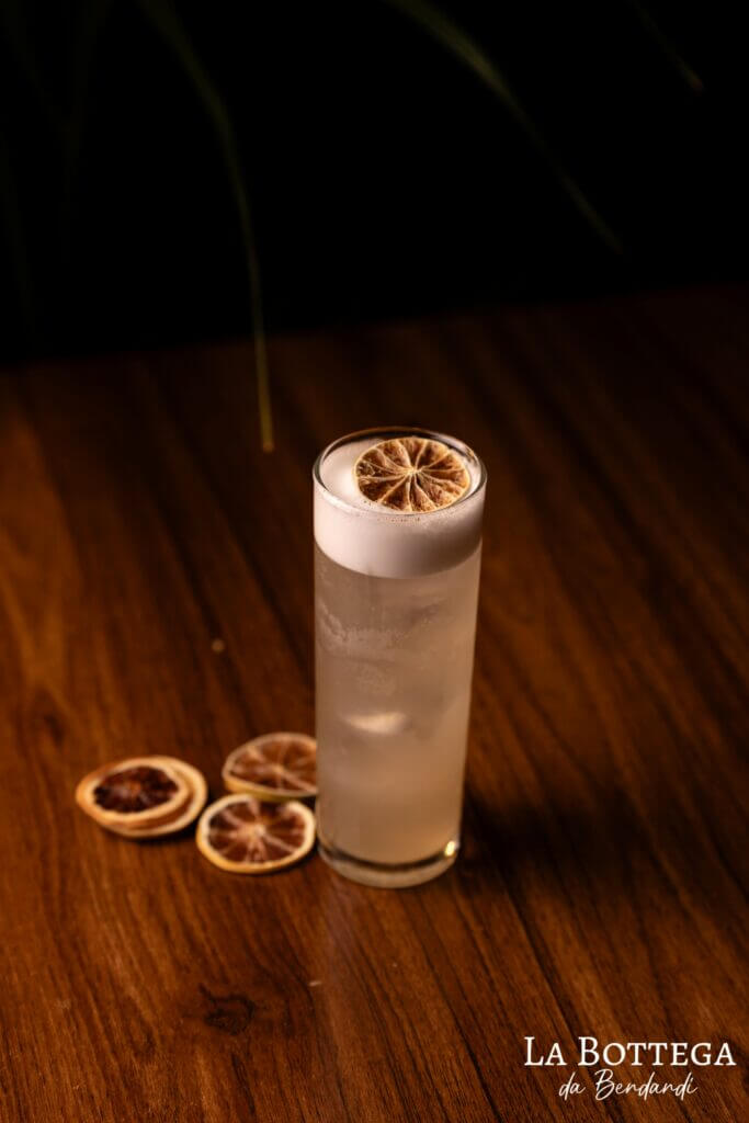 Gin Fizz